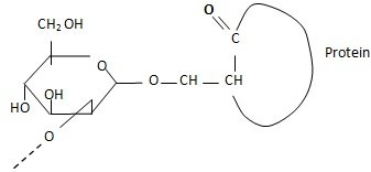 mannan of protein